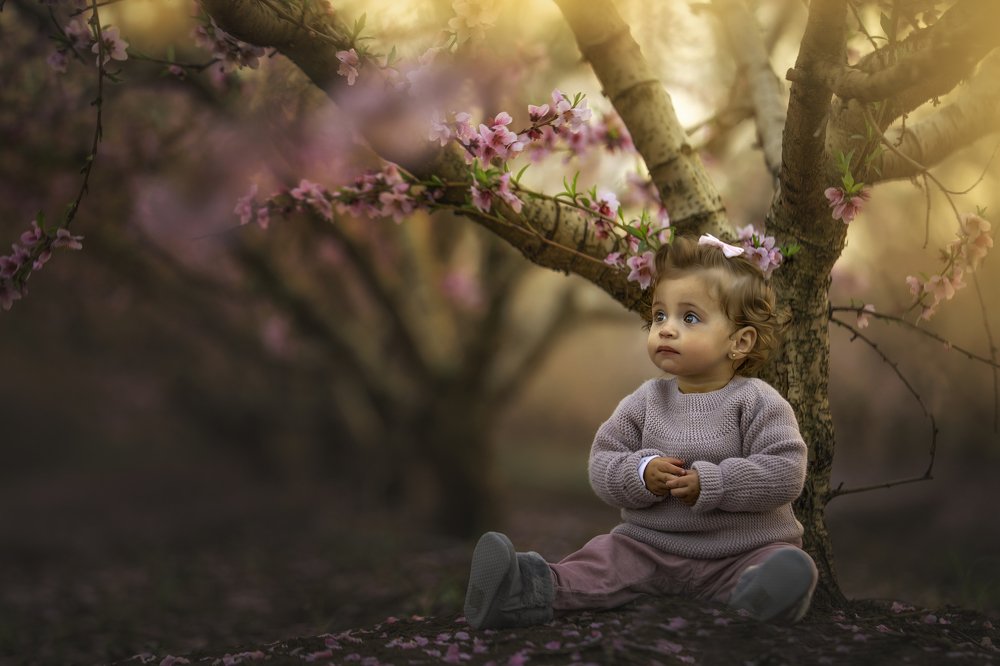 Photograph by yarden kaplan