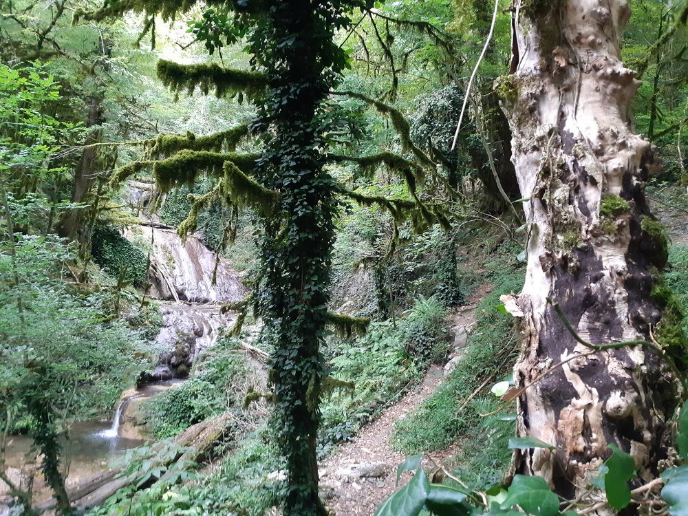 Photograph by ИГОРЬ