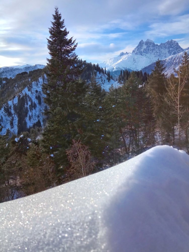 Photograph by Алла Холодова