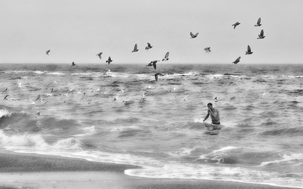 Flock over BW