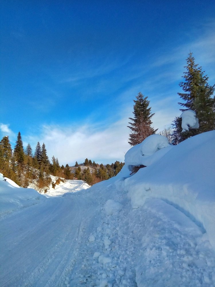 "Дорога в зимнюю сказку"