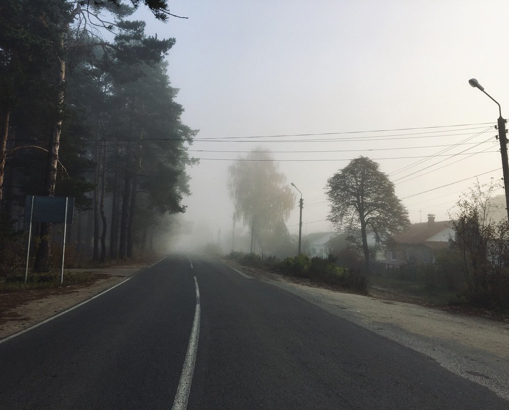 Туманное утро