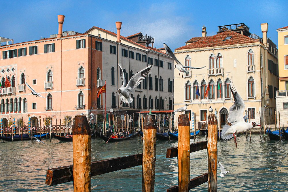 Переполох на Рыбном рынке