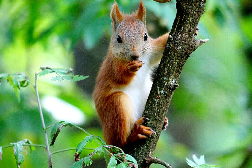 Photograph by Ольга Митрофанова