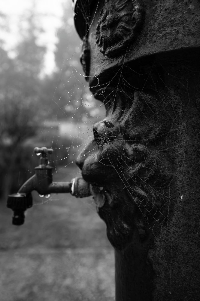 Photograph by Matthew Mallia