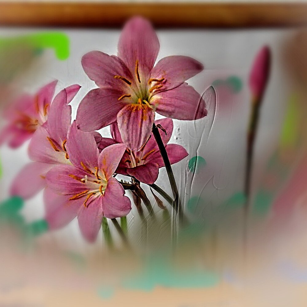 Photograph by Людмила Гончарова