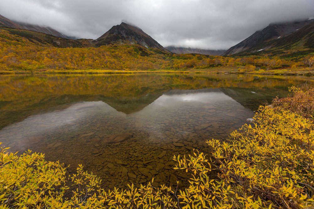 Перед зимним сном