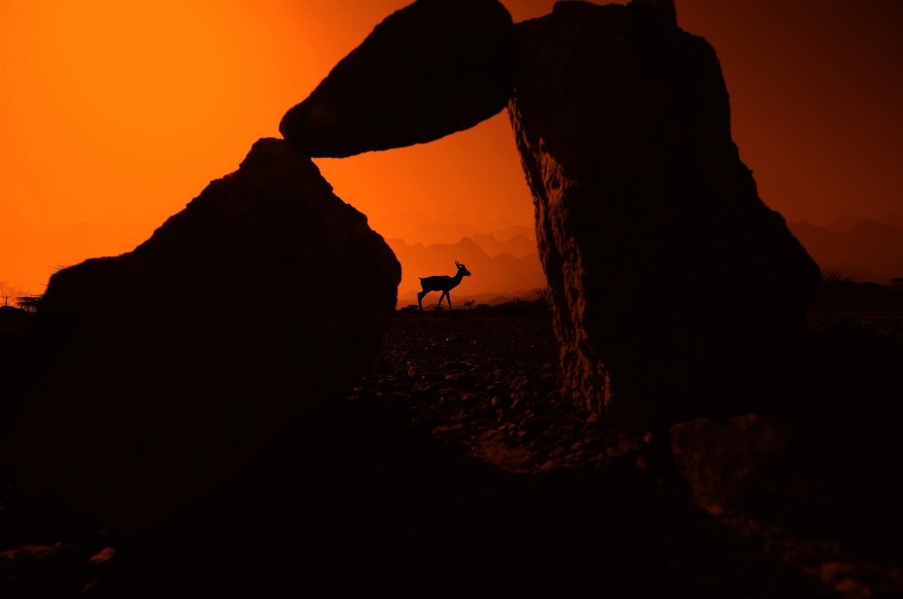 Photograph by Anthony Austria