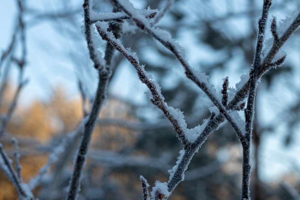 Photograph by Юрий