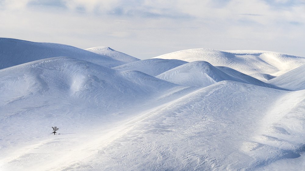 Фотография автора Евгений