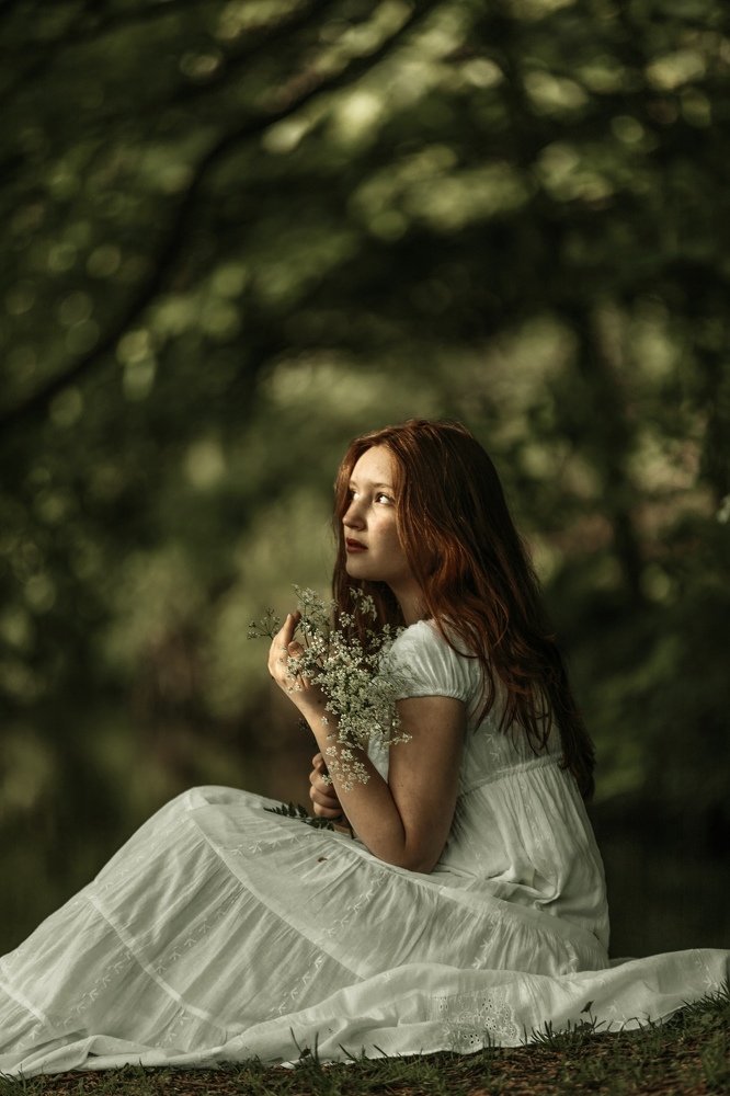 Лесная рапсодия