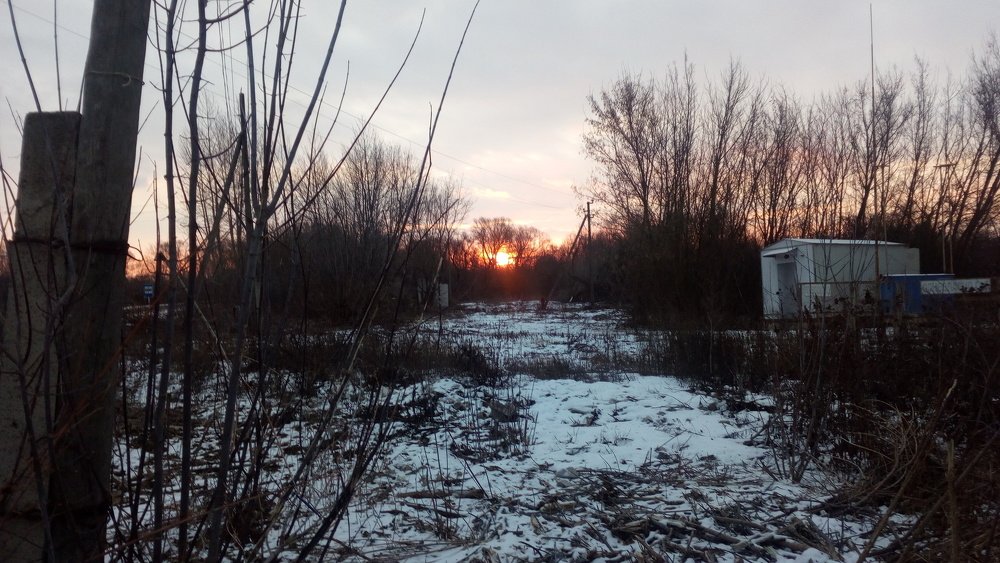 Photograph by Светлана Пивоварова