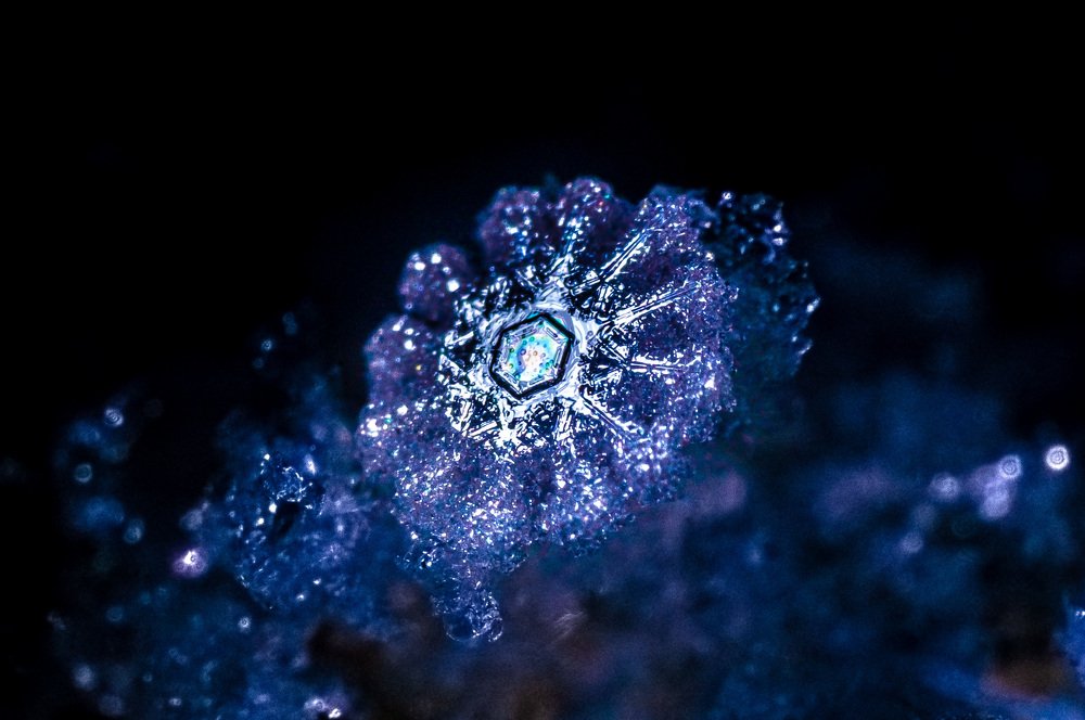 Photograph by Владислав Грибов