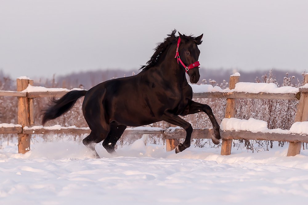 Photograph by Анастасия Петрова