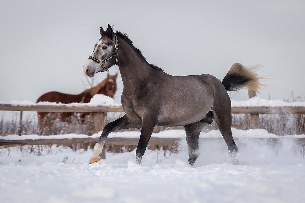 Photograph by Анастасия Петрова