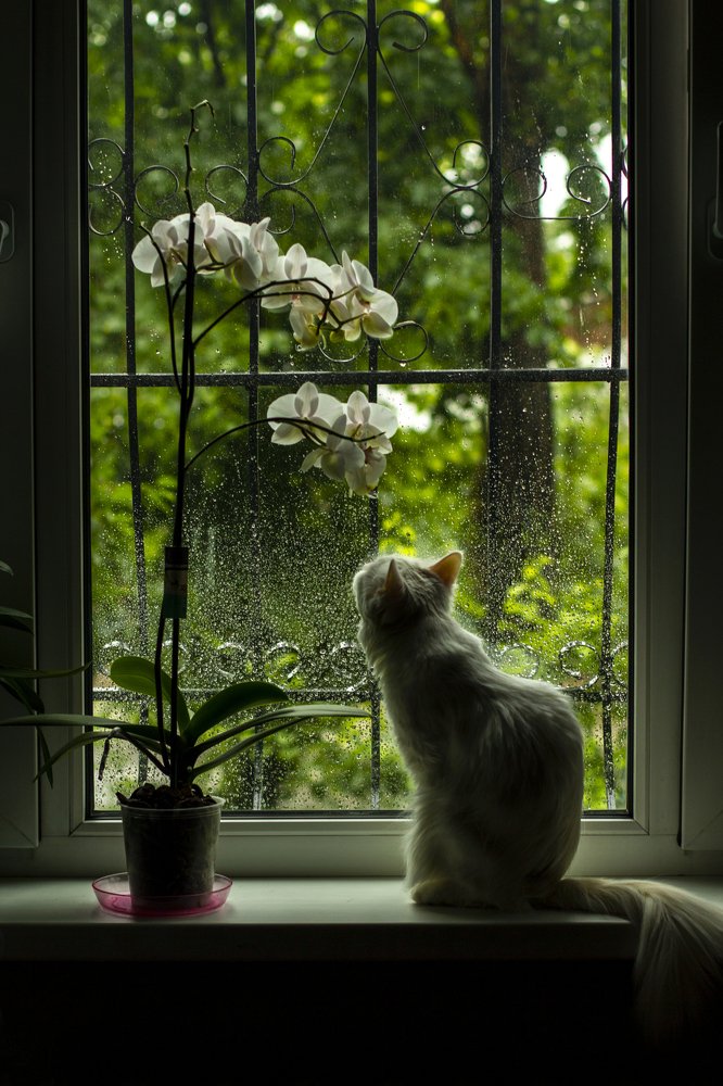 Photograph by Екатерина Петрова