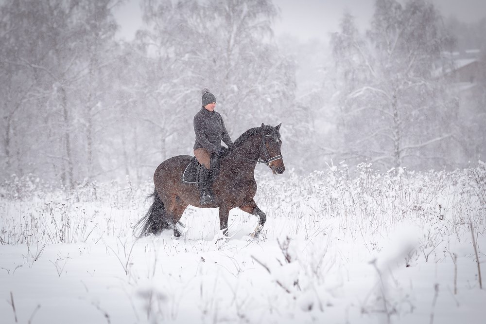 Снегопад - не помеха