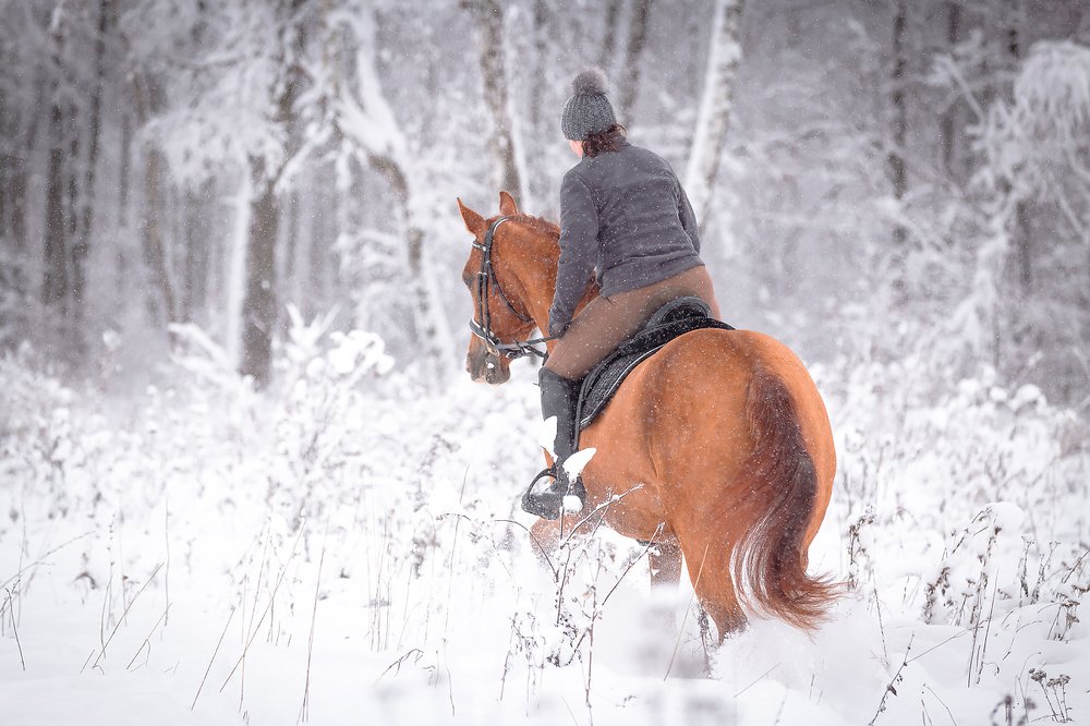 Прогулка в снежном лесу