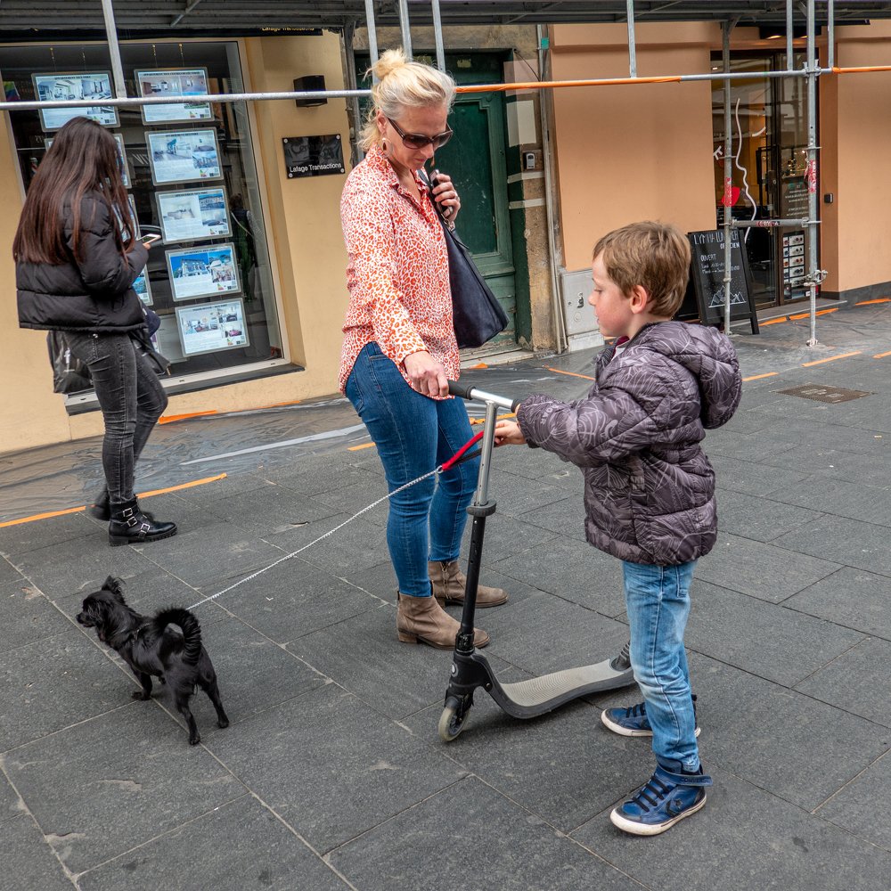 Мы и братья наши меньшие