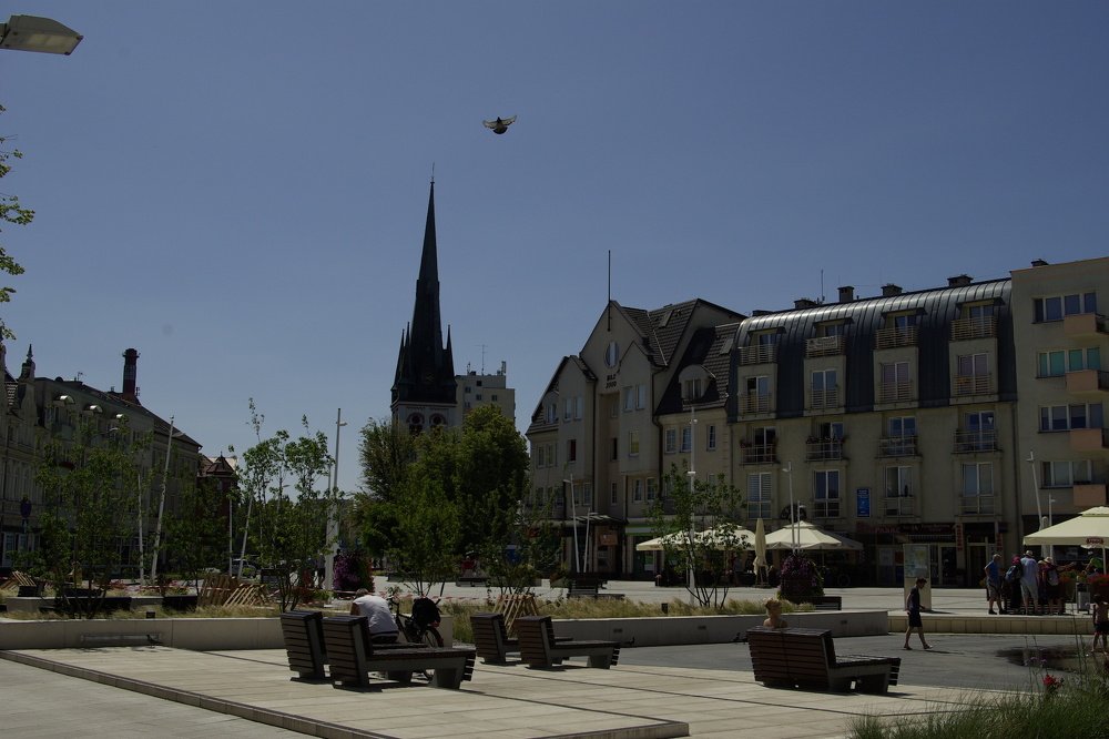 Photograph by Надежда Каравайцева