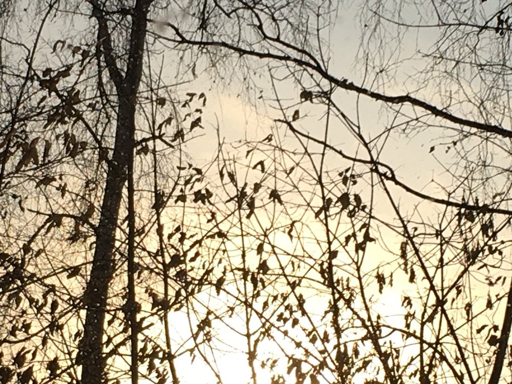 перед закатом