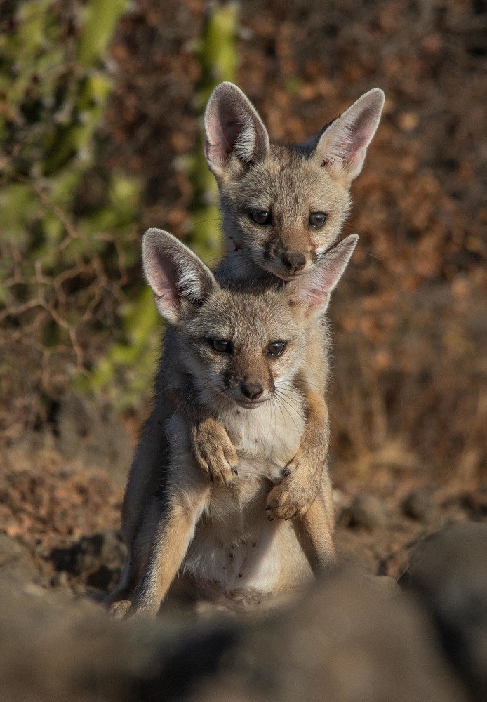 Photograph by somil makadia