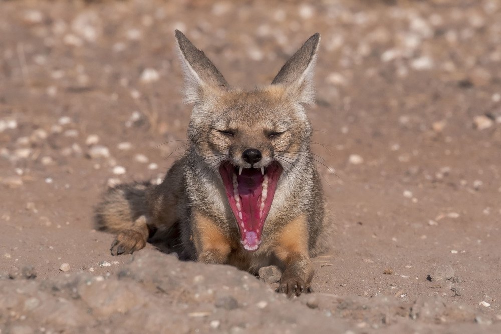 Photograph by somil makadia