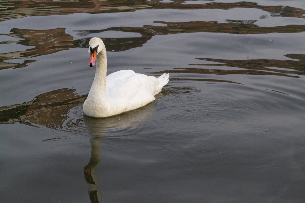 Photograph by Юлия Водонос