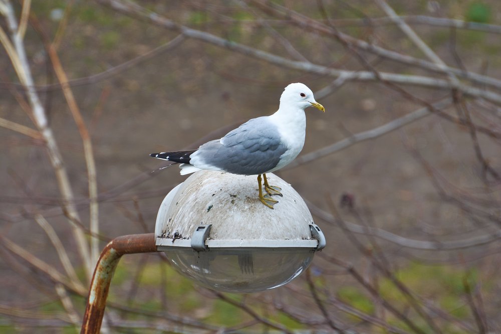 Photograph by Yaroslav