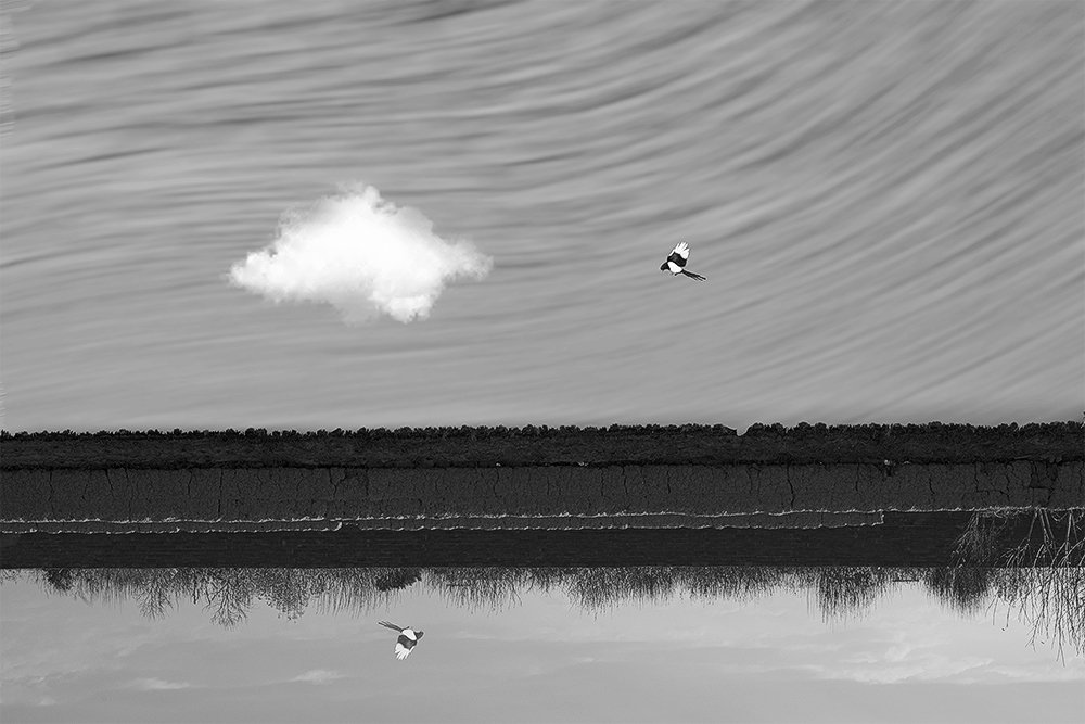 Photograph by Parsa Bagheri