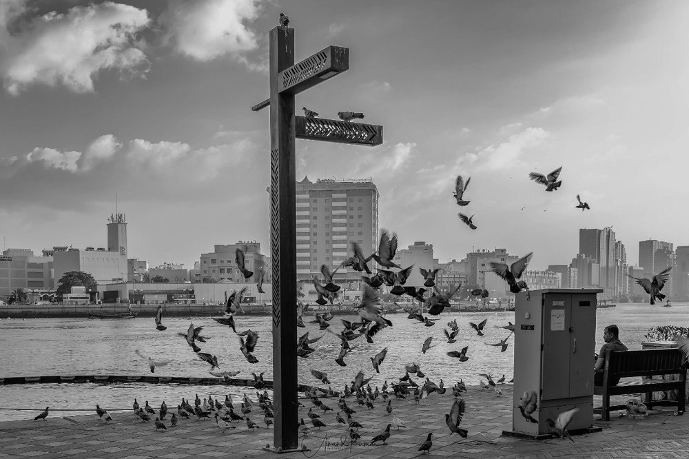 Фотография автора Anand Kumar