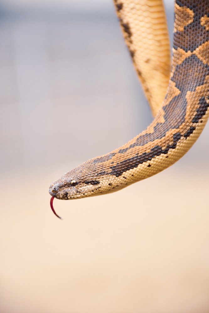 Photograph by Bablu Khan