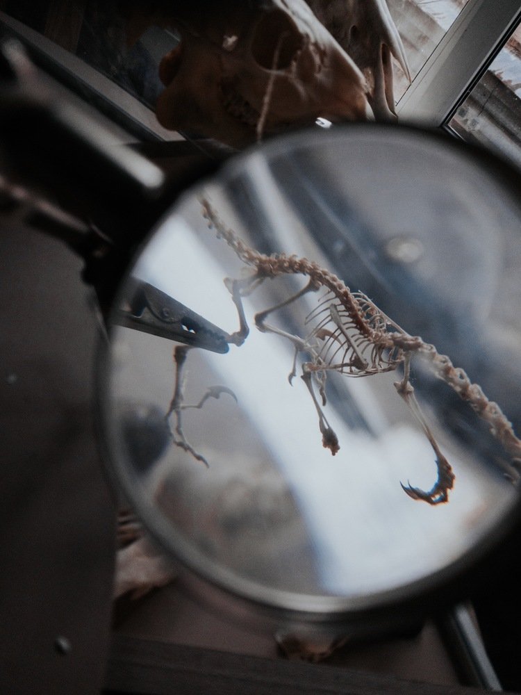 Photograph by Полина Евтифеева