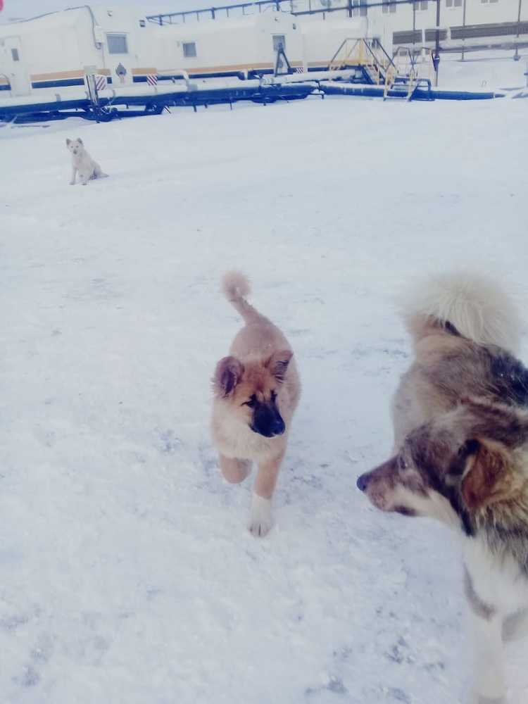 Photograph by Frenky