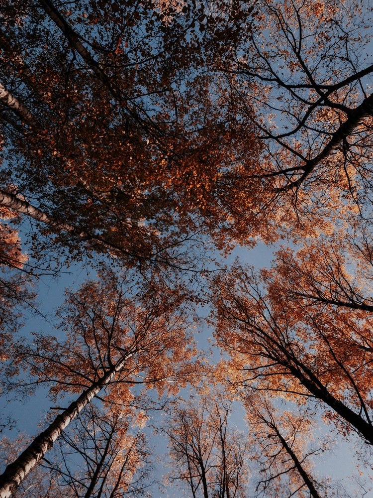 Photograph by Полина Евтифеева