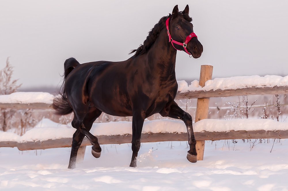 Photograph by Анастасия Петрова