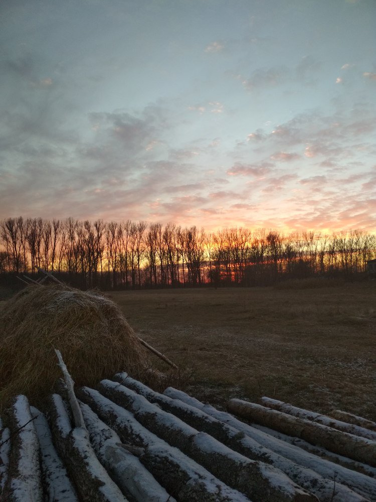Photograph by Ростислав Скидченко