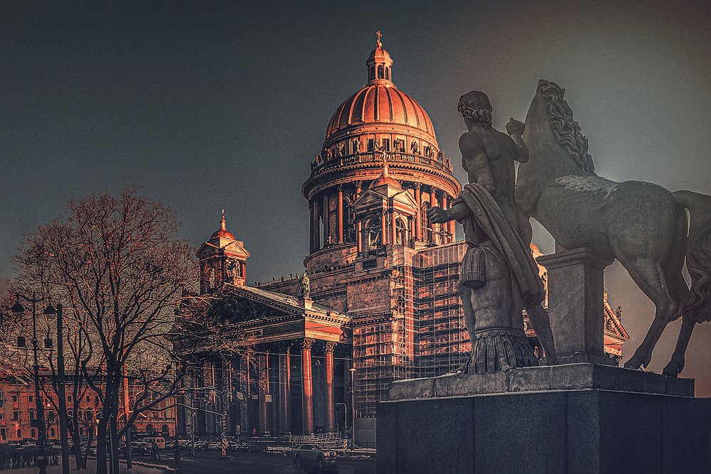 Фотография автора Виктория Шаманова