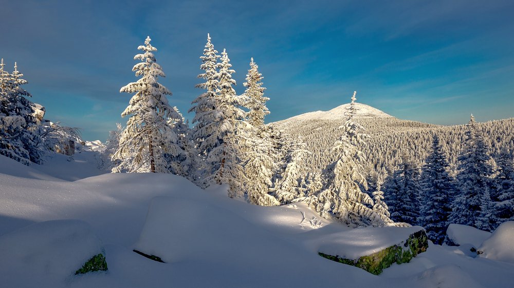 Photograph by Сергей Евдокимов