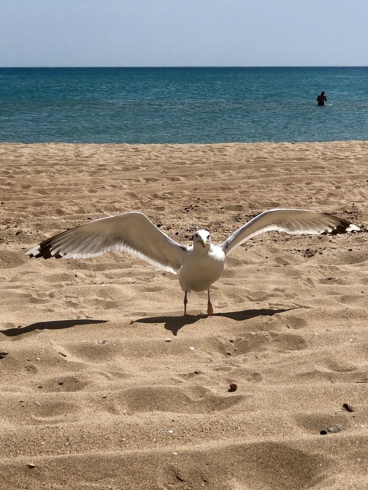 Photograph by Анастасия Казанцева