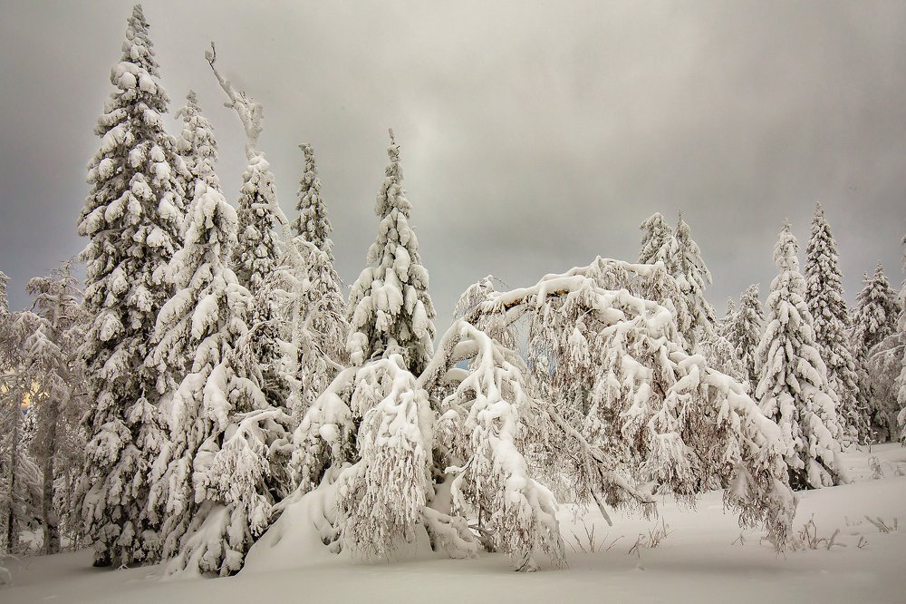 Photograph by Сергей Евдокимов