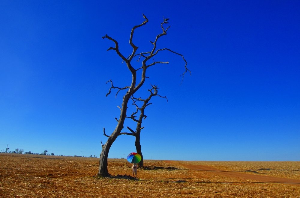 Photograph by Régis Santos