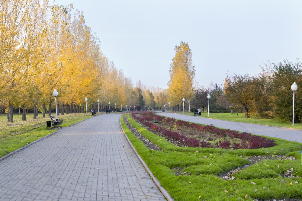 парк  отдыха