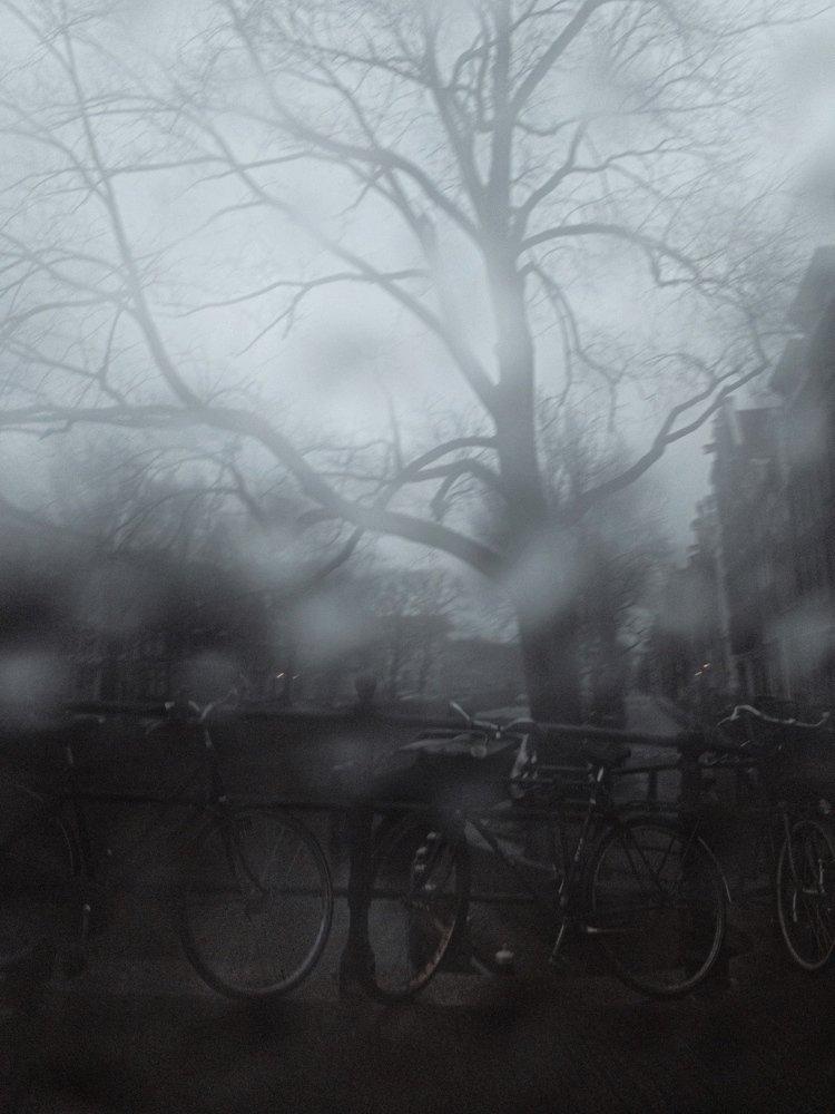 Photograph by Полина Евтифеева