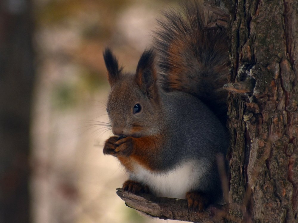Photograph by Наталья Аржинт