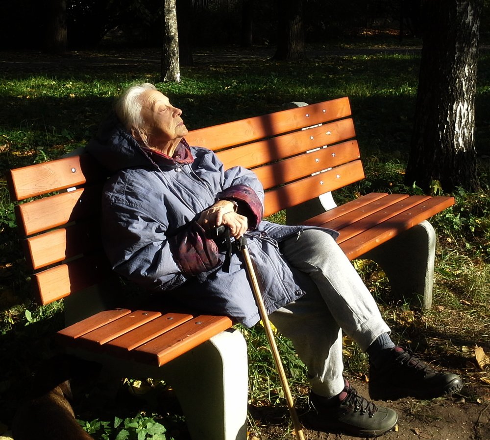 Photograph by Владимир Васильев