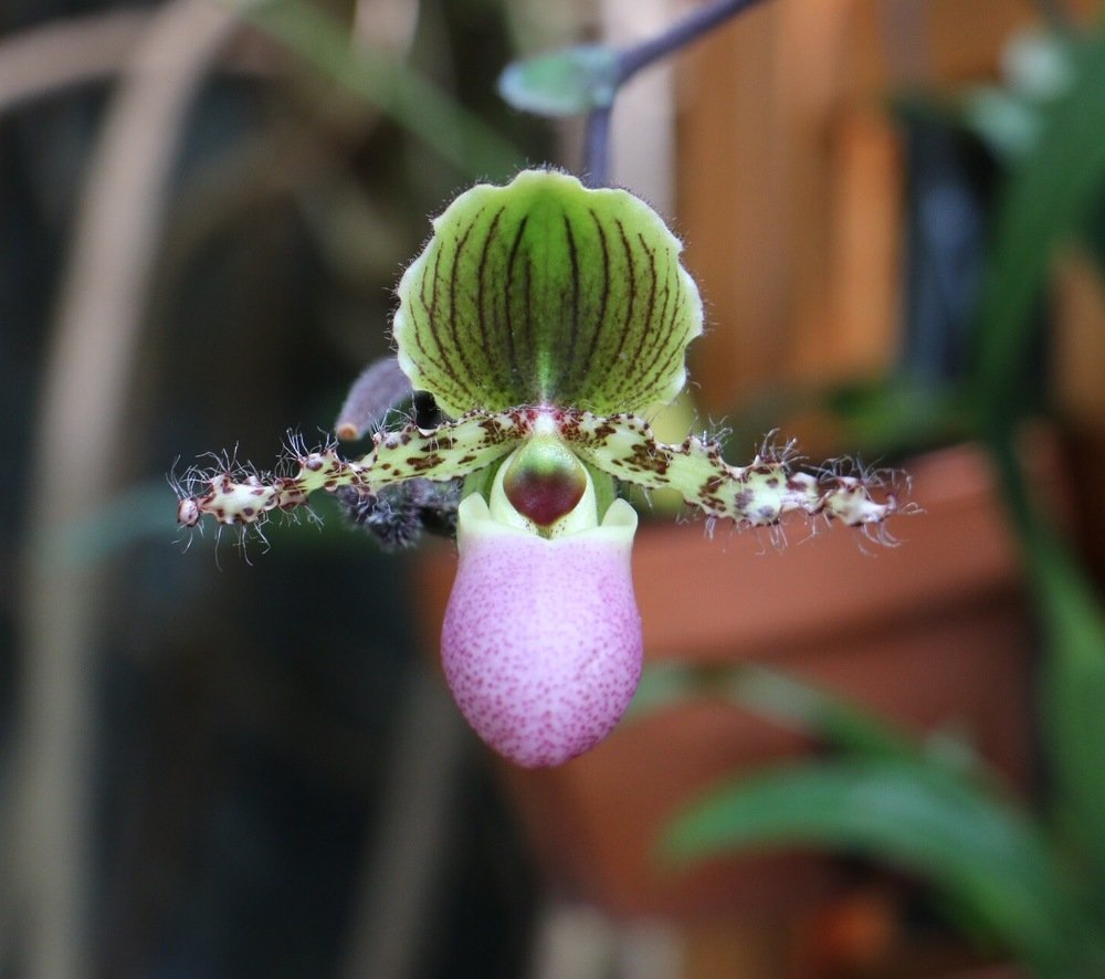 Photograph by Маргарита Венсил.