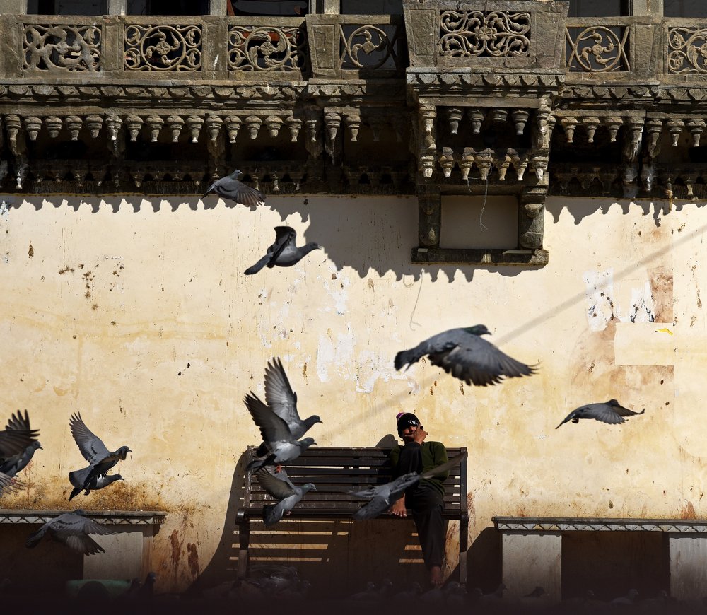 Photograph by Jainish Vig