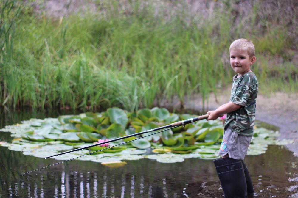 Photograph by Наталья Рыкова