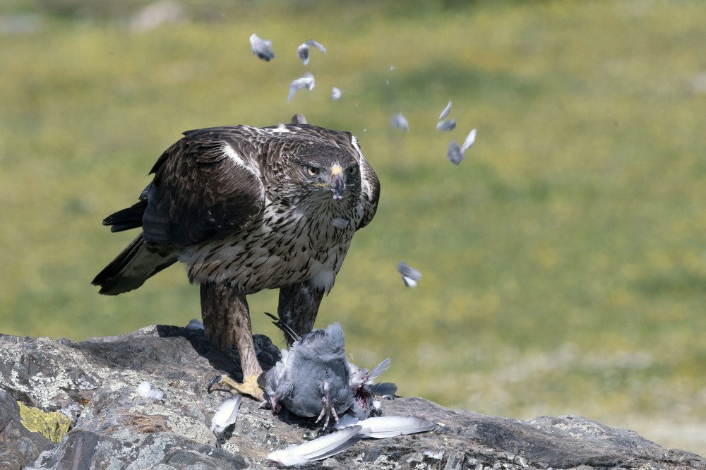 Photograph by Ernestas Balcikonis